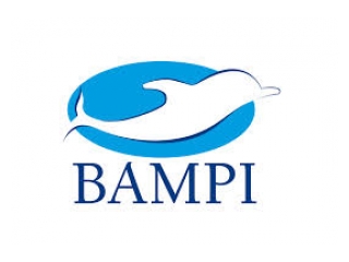 Bampi